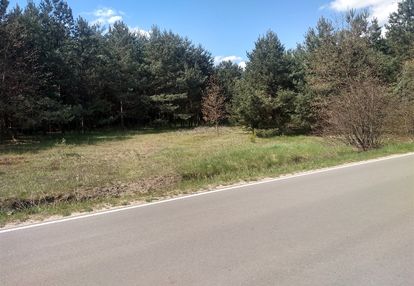Duża działka koło olsztyna na jurze - nowa cena!!!