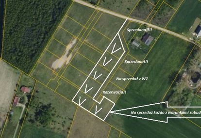 Działki budowlane w zacisznym rojkowie