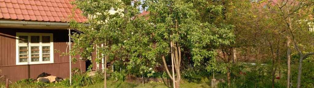 420 m2  rod dolinka
