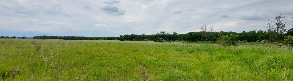 Działki letniskowe nad kanałem obry | karszyn