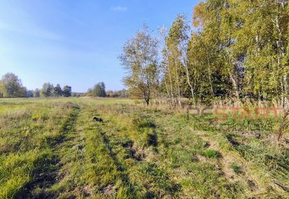 Kozerki 7 800 m² – możliwość podziału na 3 działki