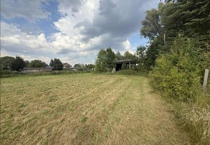 Działka 3000m2, skotniki