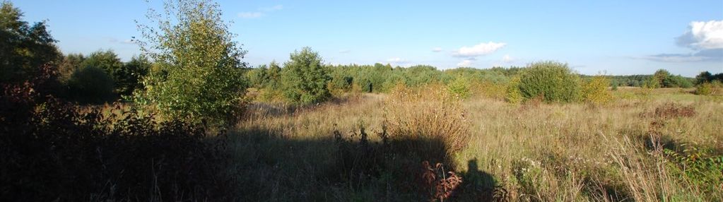Działka 1011 m2 zbrza gmina morawica