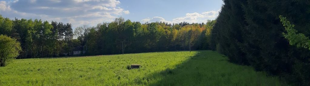 Klimatyczna działka w ruścu koło nadarzyna