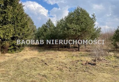 Działki rekreacyjne lasek k/grzegorzewic