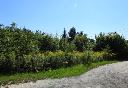 ✅ działka budowlana | bobrowniki
