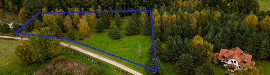 Kraniec nowego osiedla, graniczy z dorodnym lasem