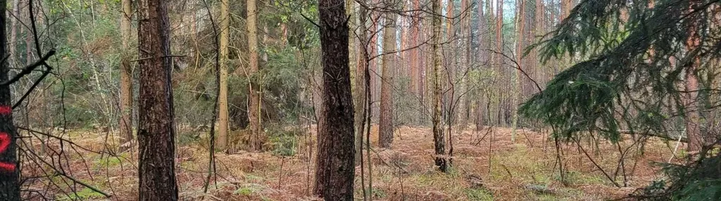 Działka na sprzedaż 6400m2