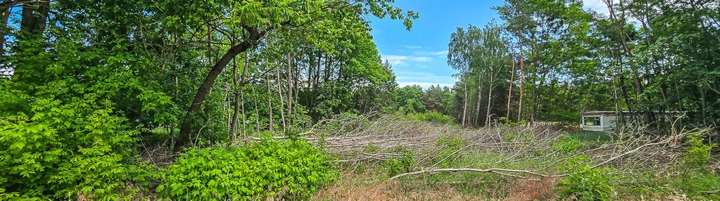 Duża działka 3116 m² z wz w spokojnej okolicy
