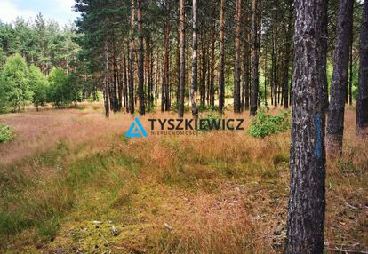 Piękna działka w otoczeniu przyrody!