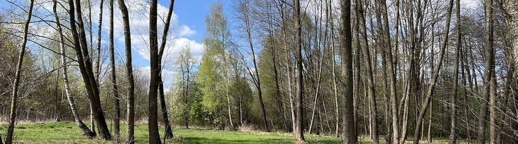 Budowlana z pnb, prąd, wodociąg, rzeczka i las