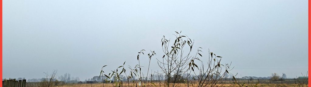 Olimpin–duża działka 1217m², media w drodze, mpzp