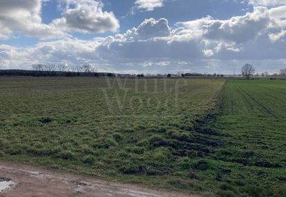 Deszczno k. gorzowa - działki z gotową koncepcją w