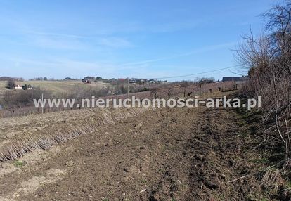 Duża ksztatna działka rolna w sąsiedztwie domów