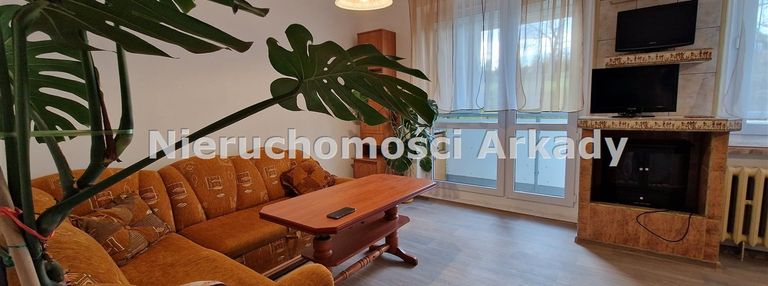 Oferta najmu w bardzo dobrej lokalizacji