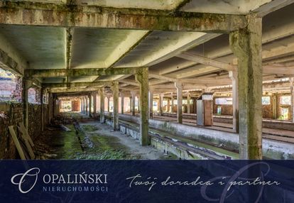 Potencjał inwestycyjny | bieszczady | magazyn |