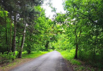Piękna działka budowlana otoczona lasem – radonie