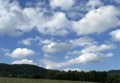 Działka na sprzedaż 6000m2