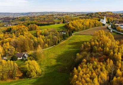 Meszna opacka, działka budowlana 8 ar, tanio!