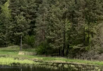 Działka na sprzedaż 3000m2