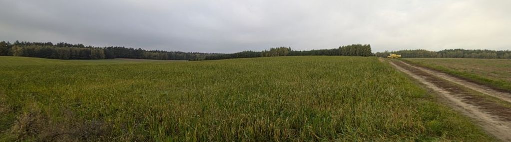 Pole uprawne, klasa bonitacji v i vi, las tuż obok