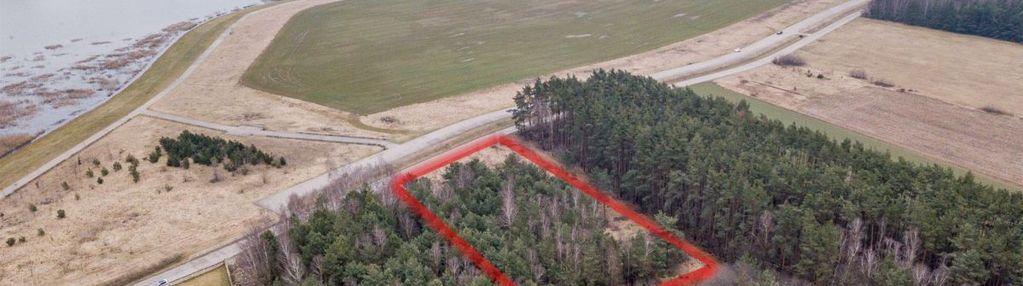 Unikalny widok na zalew w rydzynie