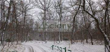 Przepiękne miejsce na choszczówce, 1562m