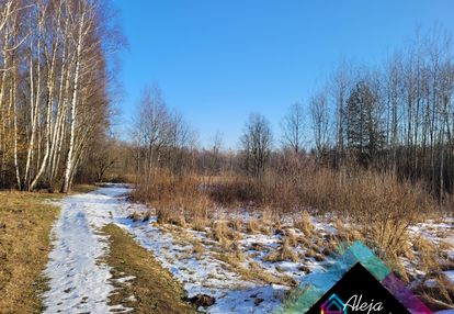 Duża działka w sąsiedztwie lasu i rozlewiska