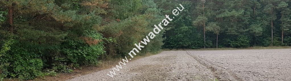 Działka w otulinie lasu budy wolskie