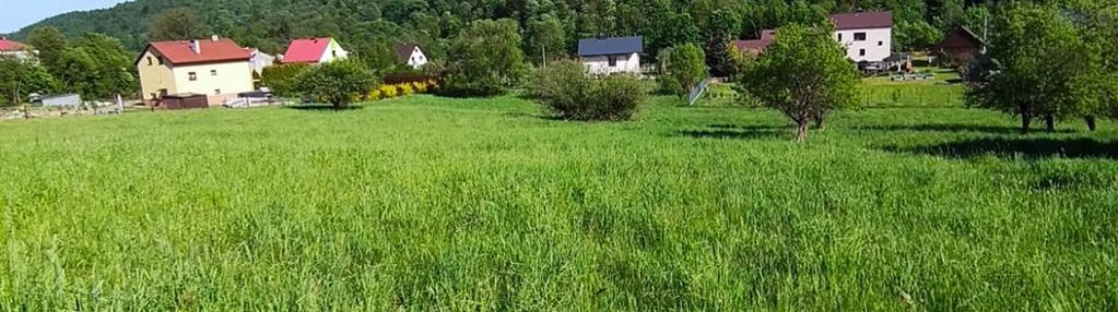 Widokowa działka budowlana kamesznica