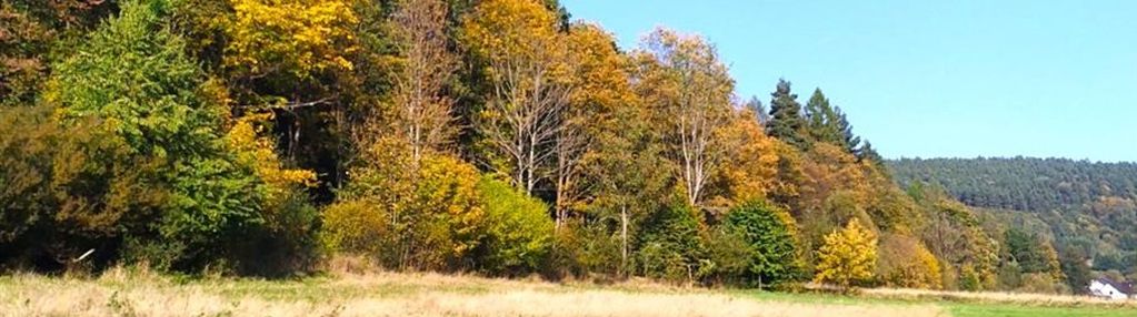 Śnietnica, gm. uście gorlickie - działka budowlana