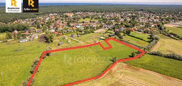 Stegna 2,4ha| możliwość kupna części działki!!