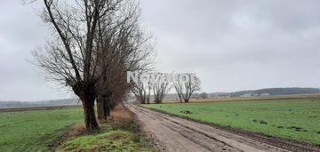 Działka rolna o pow. 6323m2 w łachowie gm.szubin