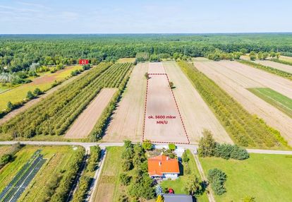 Teren pod inwestycję deweloperską lub usługi mn/u