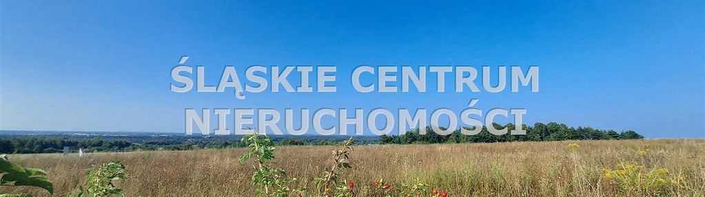 Mierzęcice widokowe uzbrojone działki przy lesie