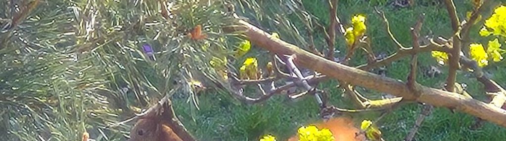 Wymiana elektryki-54m2-rozkład-med.miejskie-balkon