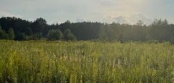 Działka budowlana blisko lasu, idealna inwestycja.