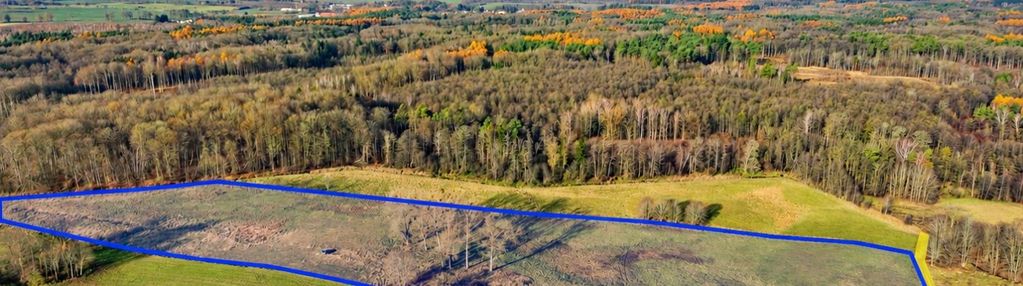 Jędrychówko|5,34 ha|warunki zabudowy|rzeka i las