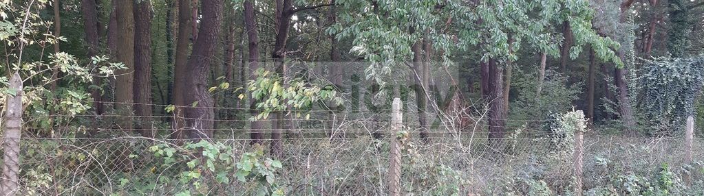 Zalesiona działka przy dwóch drogach w magdalence