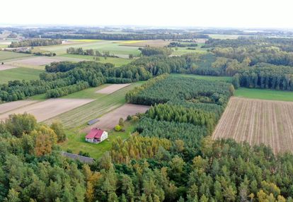 Siedlisko otoczone lasem z dużą działką niedaleko biebrzańskiego pn