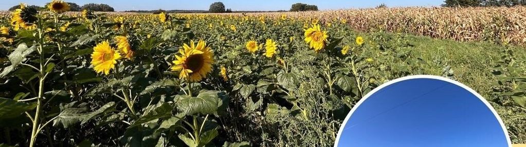 Na sprzedaż działka budowlano-rolna w kowalowicach