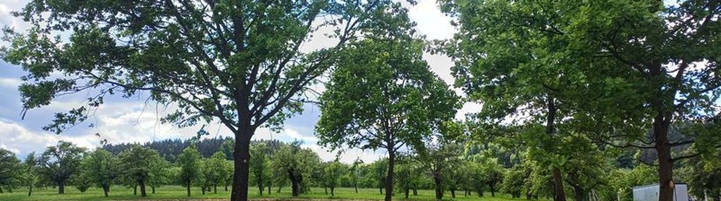 Działka budowlana 23ar czarny potok gm.łącko