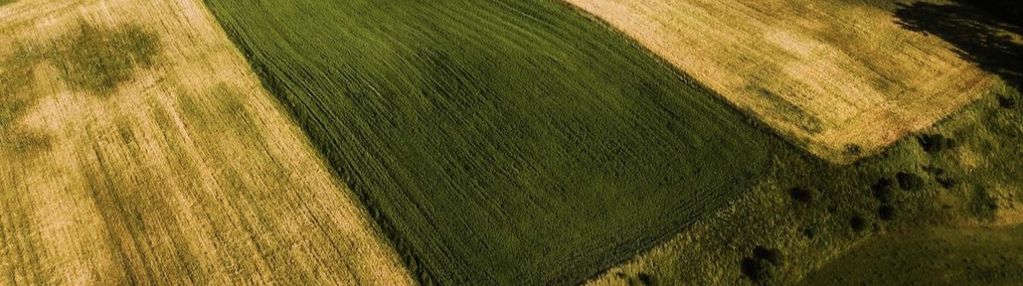 Działka - żegary, gm. sejny