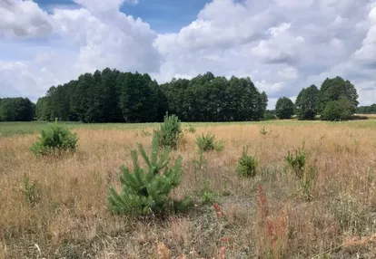 Działka na sprzedaż 3000m2