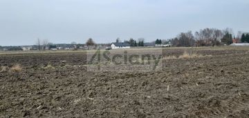 1000 m2 w zaborówku