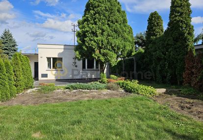 W centrum przeźmierowa