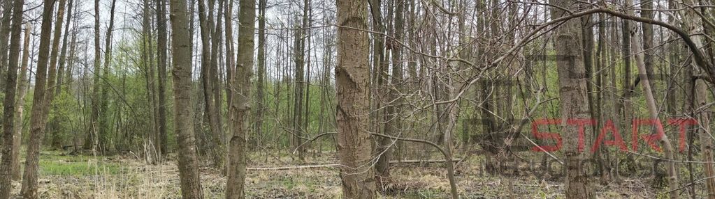 Usługi turystyki, rekreacji, sportu