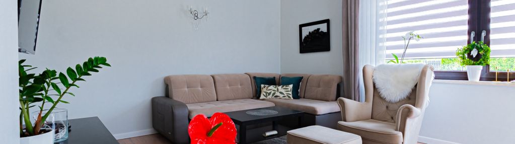 Wygodny parterowy dom z tarasem i dużą działką