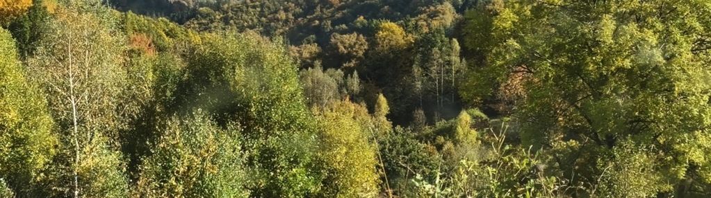 Kameralne miejsce z pięknym widokiem