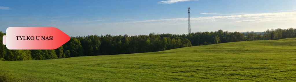Działki z potencjałem  - liniewskie góry